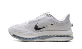 Pegasus Premium WMNS"Metallic Silver" HQ2593 005