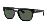 Phil Sunglasses "Black" RB4426-667771_54