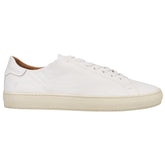 Astor Low Lace Up Sneakers