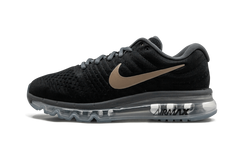 AIR MAX 2017 MNS WMNS "Bronze" 849560 008