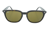 Square Sunglasses "HAVANA" RB4362F-902-73_55