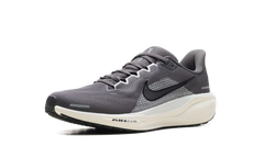 Air Zoom Pegasus 41 "Medium Ash Pure Platinum" FD2722 215