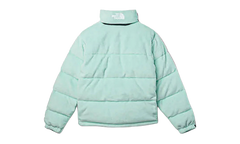2000 Polar Nuptse Jacket "Muted Pine" NF0A88XN10C