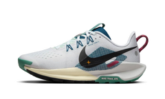 Pegasus Trail 5 Wmns"Court Blue" DV3865 100