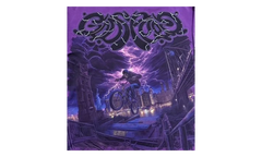 BMX Long Sleeves Tee "Grape" GS044