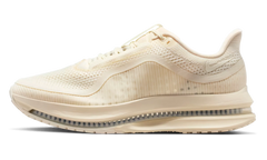 Pegasus Premium "Natural" IQ5691 100