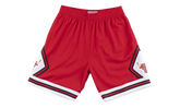 Chicago Bulls Swingman Shorts "1975 - 76 Road" 2FU5I9MD