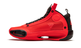 XXXIV "Infrared 23" AR3240 600