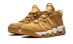 Air More Uptempo '96 PRM AA4060 200