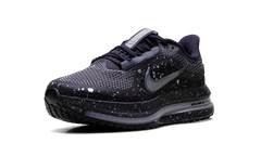 Pegasus Premium SE WMNS"Cave Purple" IH0861 500