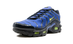 Air Max Plus (GS) CD0609 401